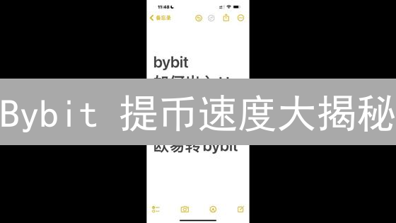 Bybit 提币速度大揭秘：避开拥堵，极速到账攻略！