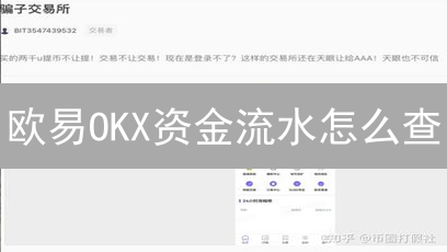 欧易OKX资金流水怎么查？3分钟掌握，税务申报不用愁！