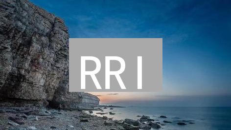 RRI：下一个加密货币新星？深入解析潜在价值与投资策略