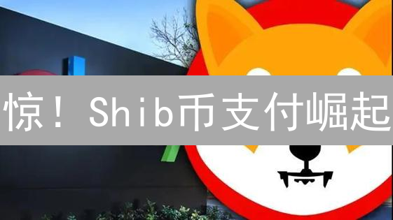 惊！Shib币支付崛起？深度剖析支付的6大潜在优势与挑战！